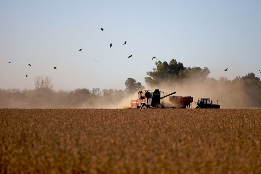 Baja de retenciones: las condiciones que le puso el Gobierno al campo