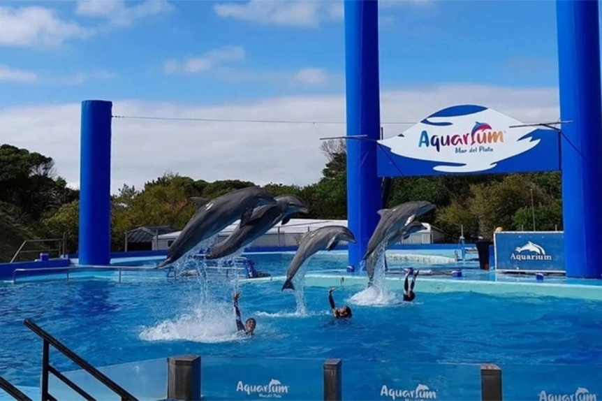 Aquarium Mar del Plata conform su cierre definitivo